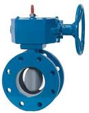Henry Pratt Cast Iron Buna-N Wheel Handle Butterfly Valve 