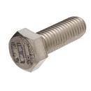 1/2 x 2 in. Stainless Steel Hex Cap Screw