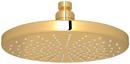 Single Function Showerhead in Inca Brass
