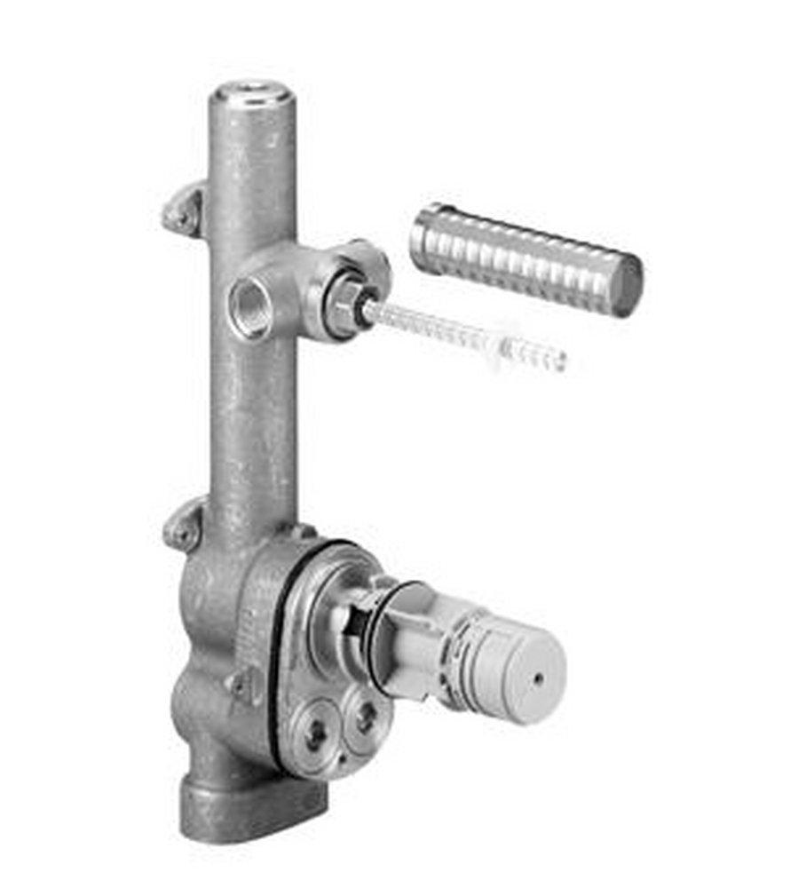 Dornbracht USA NPT Thermostatic Valve 