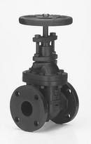 Hammond Valve Cast Iron Flanged Gate Valve 