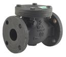 3 in. Cast Iron Flanged Check Valve