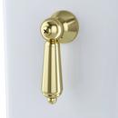 TOTO Polished Brass Trip Lever 