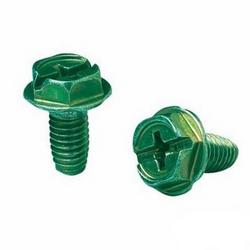 50-Piece Clamshell Grade Screw in Green