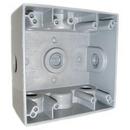 Mulberry Metal Products Grey 3/4 in. Outlet 5 in. 2-Gang Whirlpool with Box Lug 