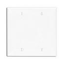 2-Gang No Device Blank Wall Plate in White