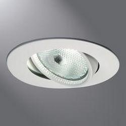 75 W PAR30 Gimbal Trim