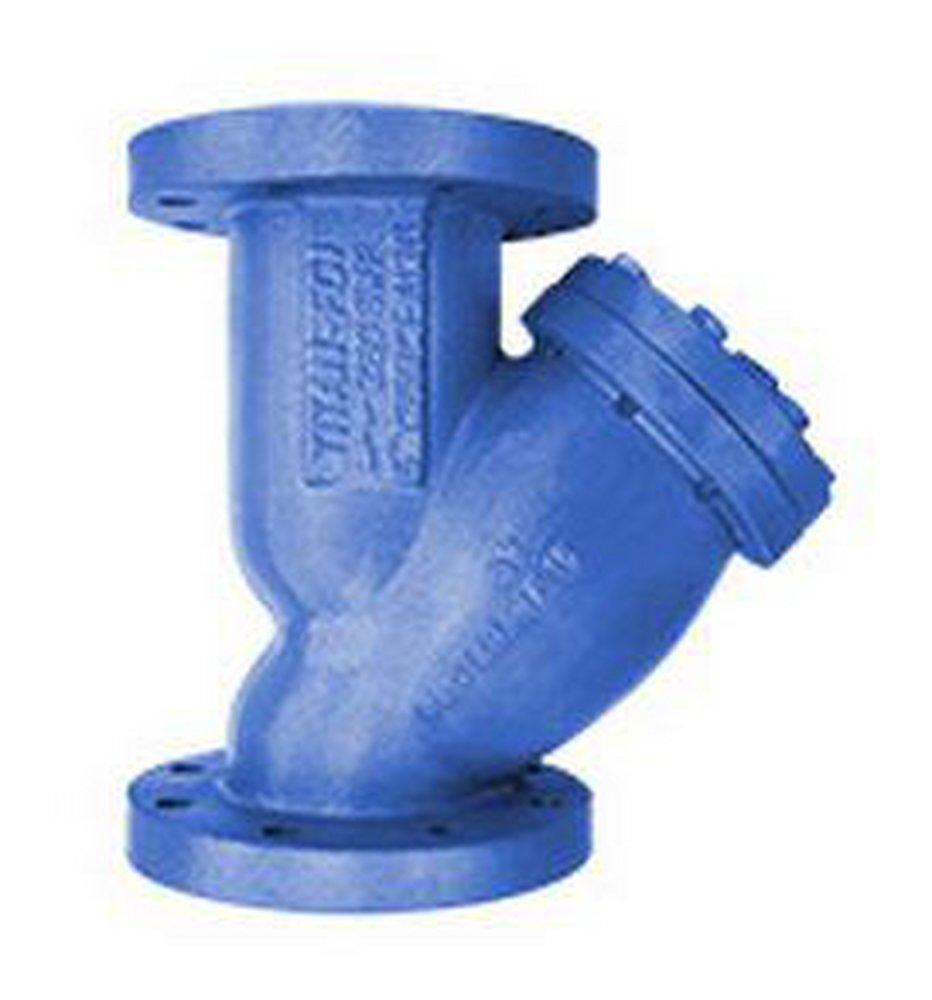 Titan Flow Control 250# Cast Iron Flanged Perforated Wye Strainer 