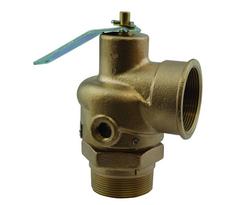 2-1/2 in. Bronze NPT 15# 100 Relief Valve