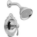 Shower Trim Kit with Single Lever Handle and 1-Function Showerhead in Polished Chrome