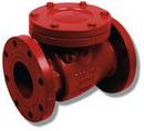 4 in. Epoxy Coated Cast Iron Flanged Check Valve