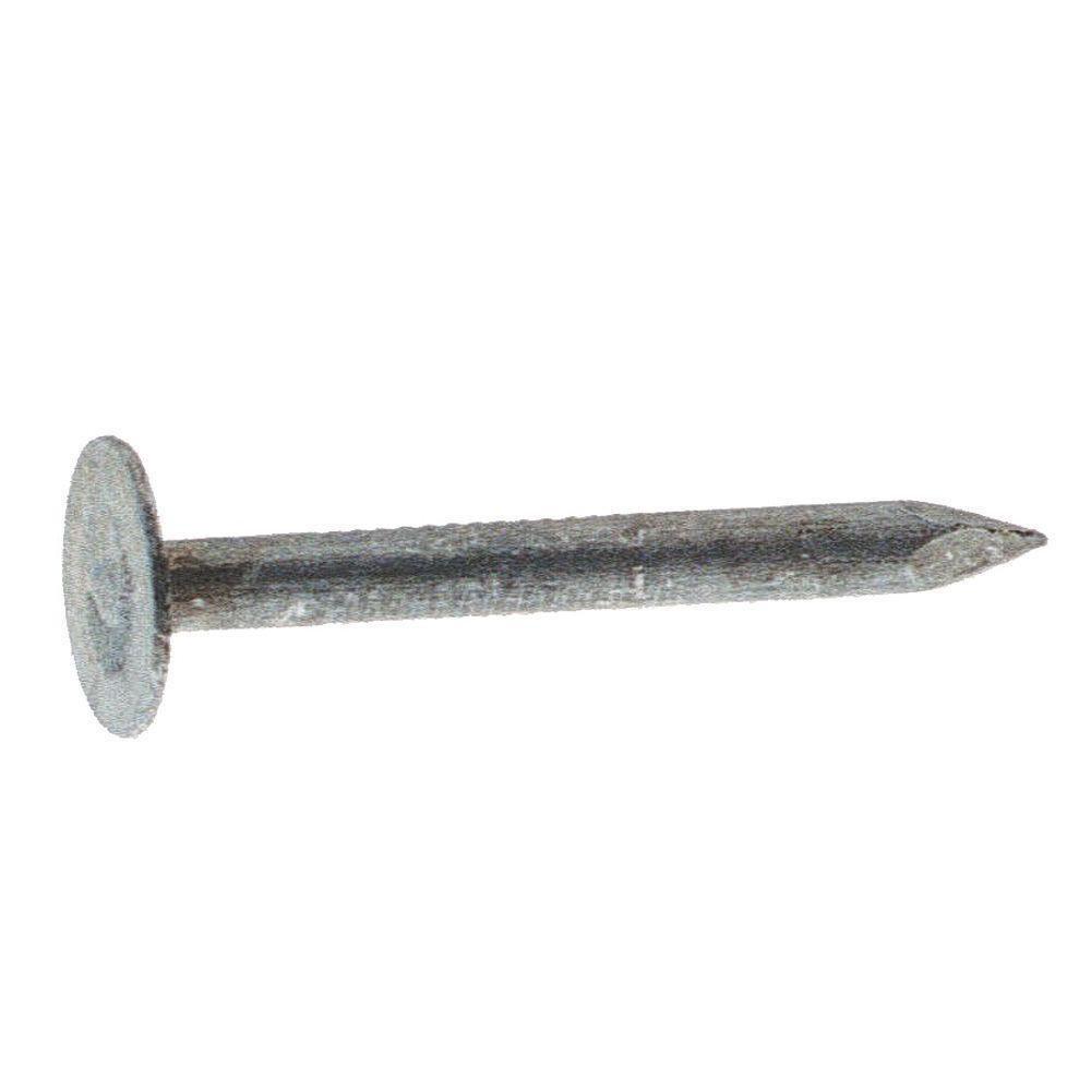 Roofing Nail 