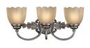 Hinkley Polished Antique Nickel 75W 3-Light Bath Light 