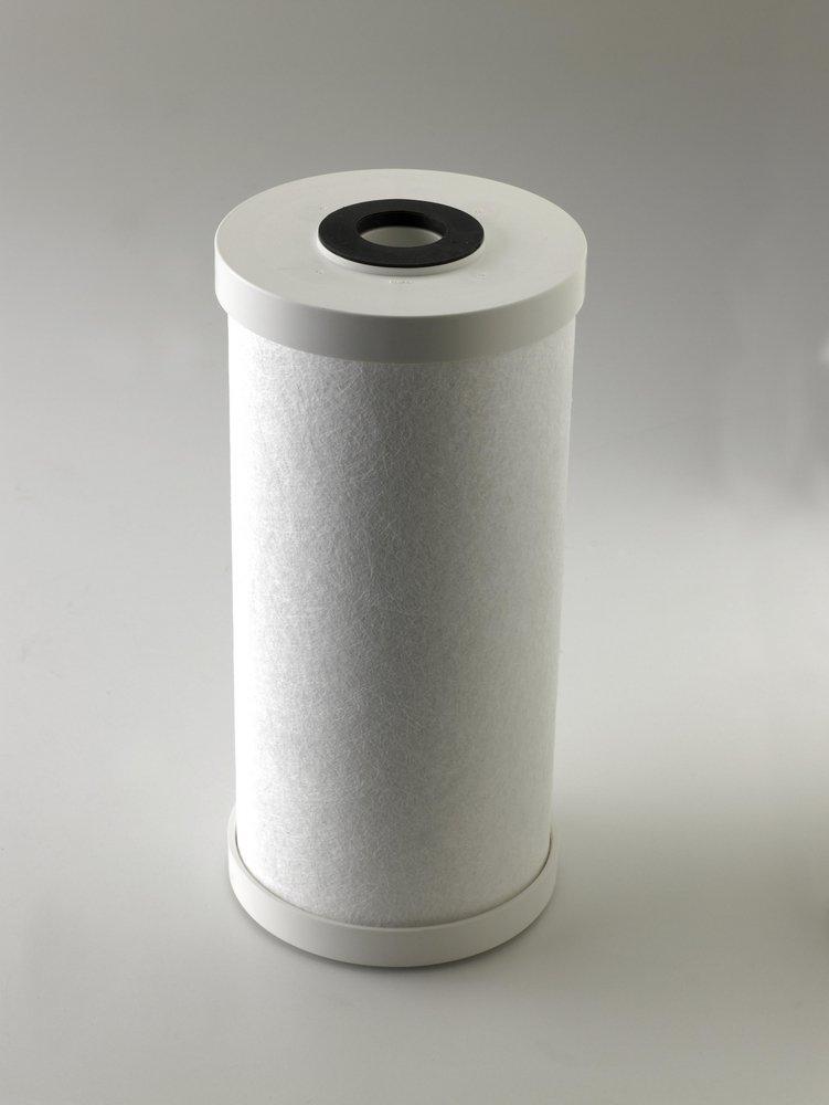 Pentair 9-3/4 in. Granular Activated Carbon 3 gpm Radial Flow Carbon Cartridge 