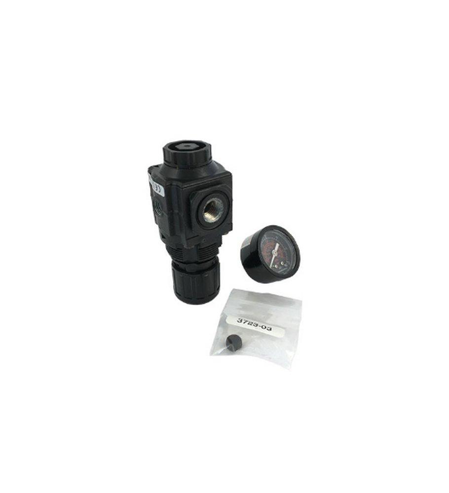 Victaulic 1/4 in. Pressure Gauge 