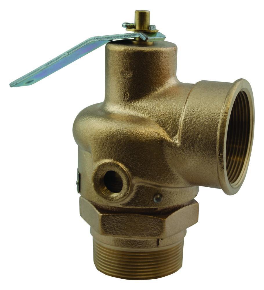 Apollo Valves Bronze NPT 15# 100 Relief Valve 