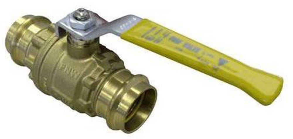 FNW&reg; DZR Brass Full Port Press Ball Valve 