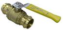 2 in. Brass DZR Full Port Press Ball Valve