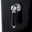 TOTO Ebony Trip Lever 