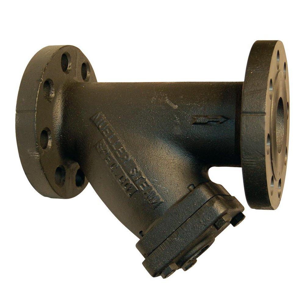 Mueller Steam Specialty Cast Iron Flanged End Perforated Wye Strainer 
