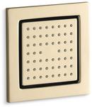 KOHLER Vibrant&reg; French Gold Single Function Body Spray 