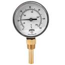 Winters Instrument 1/2 in. NPT Hot Water Thermometer 