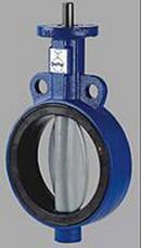 Deltech Controls Cast Iron EPDM Lever Handle Butterfly Valve 