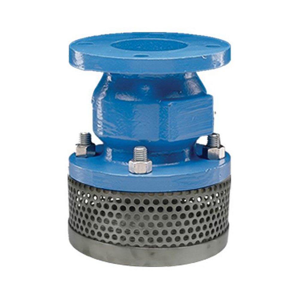 Flomatic Corp Ductile Iron Flanged Foot Valve 