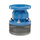 Flomatic Corp Ductile Iron Flanged Foot Valve 