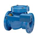 4 in. Cast Iron Flanged Swing Check Valve