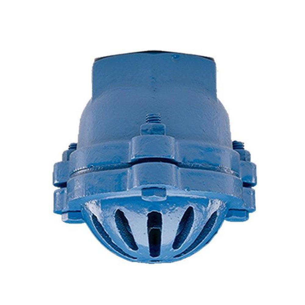 Flomatic Corp Cast Iron NPT Foot Valve 