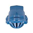 Flomatic Corp Cast Iron NPT Foot Valve 