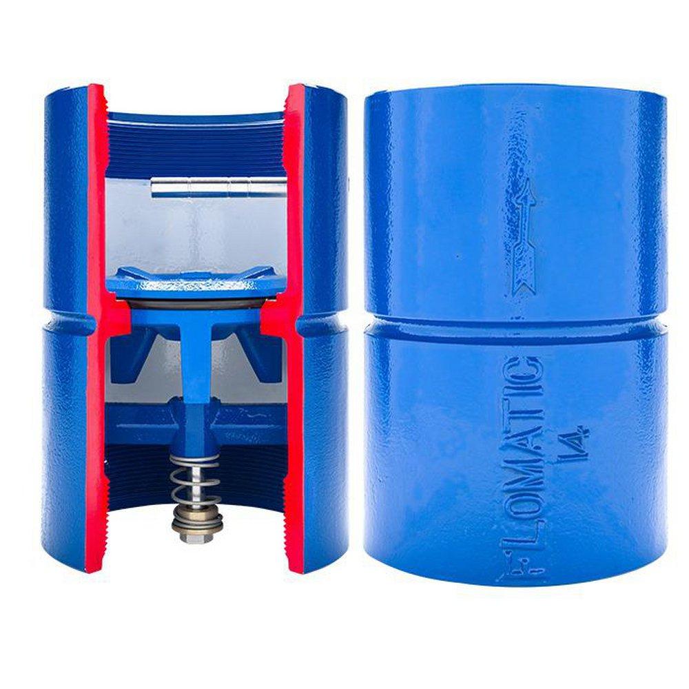 Flomatic Corp Ductile Iron Threaded Check Valve 