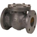 10 in. Cast Iron Flanged Check Valve