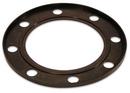 6 in. Flanged Cap Style Flange Gasket