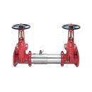 10 in. Stainless Steel Flanged 175 psi Backflow Preventer