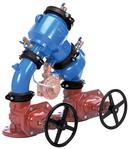 8 in. Epoxy Coated Ductile Iron Flanged 175 psi Backflow Preventer