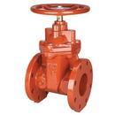 6 in. Flanged Ductile Iron 1 piece 250# Resilient Wedge Gate Valve