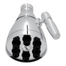 1.75 gpm Adjustable Showerhead in Polished Chrome