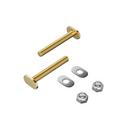 PROFLO&reg; Brass Closet Bolt Pair 