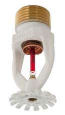 Globe Fire Sprinkler Corporation White 1/2 in. NPT 5.6 K-Factor Quick Response Pendent Sprinkler Head in White 