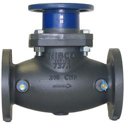 2-1/2 in. Cast Iron Flanged Non-rising Valve Stem Globe Valve