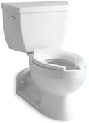 KOHLER White 1.6 gpf Elongated Two Piece Toilet 