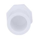 White PVC Schedule 40 Plug 
