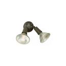 Craftmade Bronze 150W 2-Light Medium E-26 Halogen Par Holder 