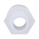 White PVC Schedule 40 Male Adapter 