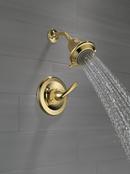 Delta Faucet Polished Brass Single Handle Multi Function Shower Faucet (Trim Only) 