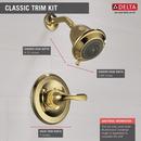 Delta Faucet Polished Brass Single Handle Multi Function Shower Faucet (Trim Only) 