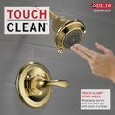 Delta Faucet Polished Brass Single Handle Multi Function Shower Faucet (Trim Only) 