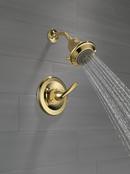 Delta Faucet Polished Brass Single Handle Multi Function Shower Faucet (Trim Only) 